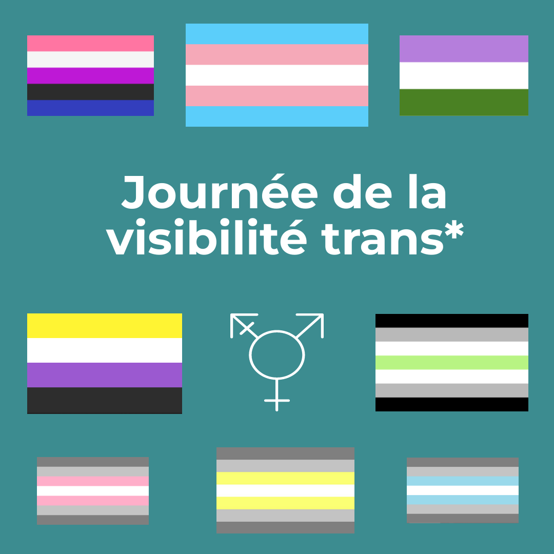 Journée de la visibilité trans*